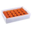 Sample Storage Tray PP pk/10