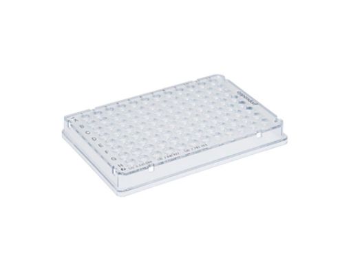 96 Well  Twin Tec Plates, Skirted, 150ul, PCR Clean, 25 per box