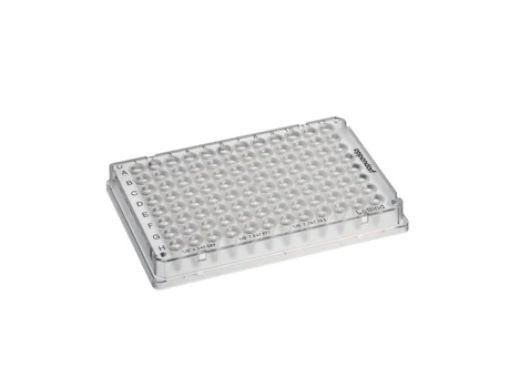 twin tech PCR plate 96 LoBind skirted clear, 25 per box