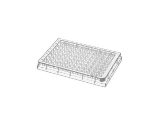 96 Well Plates F/B White Border PCR Clean, 80 per box