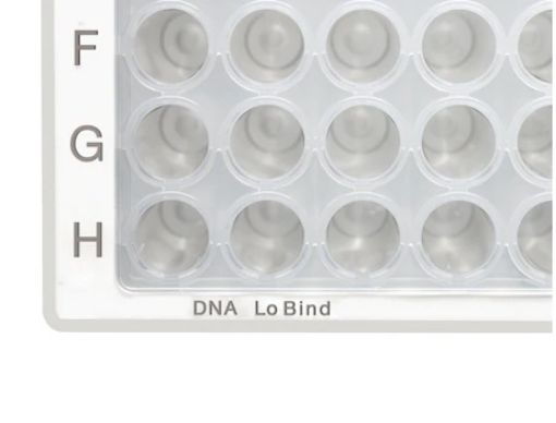 Microplate 96/V-PP DNA LoBind, clear wells, white border, PCR Clean, (5 x 16), 80 per box