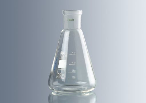 50ml Erlenmeyer Flask 19/26