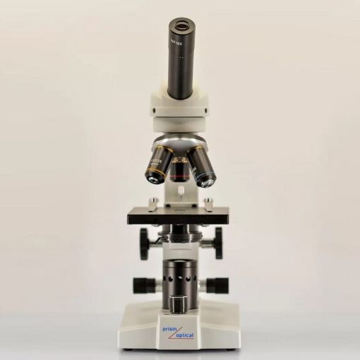 Compound Microscope