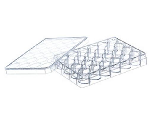 24 well tissue culture macro plate flat bottom, 100 per Pack