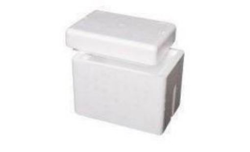 Foam Esky, Box #27, 231 x 150 x 201mm