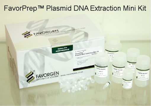 Favorgen Plasmid DNA mini kit