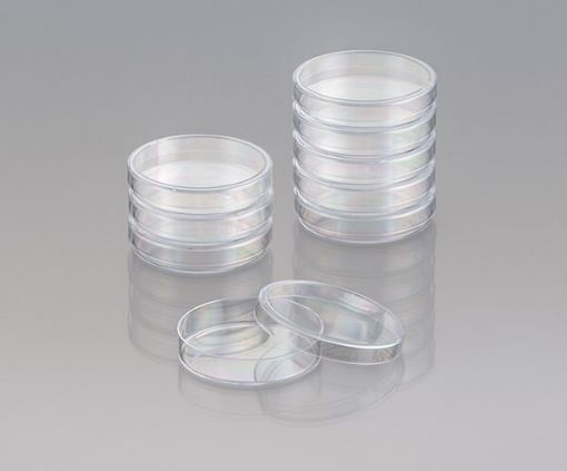 Petri Dish 60x14 Gamma Sterile, 1000 per carton