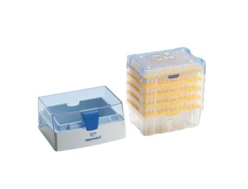 Picture of epT.I.P.S.® Set, Eppendorf Quality, 0.1 – 20 µL, 40 mm, medium gray, colourless tips, 480 tips (5 trays × 96 tips), 1 reusable box