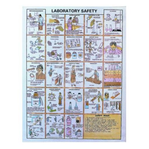 Chart, Gen, Laboratory Safety | Southern Cross Science