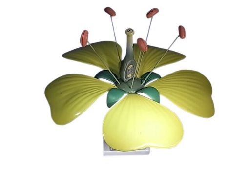 Picture of Model, Botanical, Typical Flower