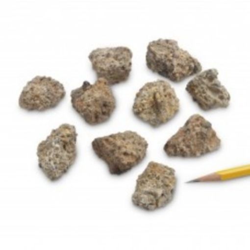 Picture of Rock, Conglomerate, pack of 10