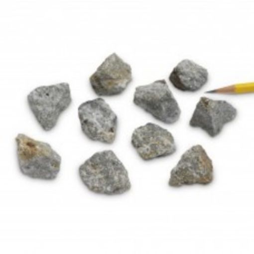 Picture of Rock, Limestone Fossil (Archaeocyatha), pack of 10