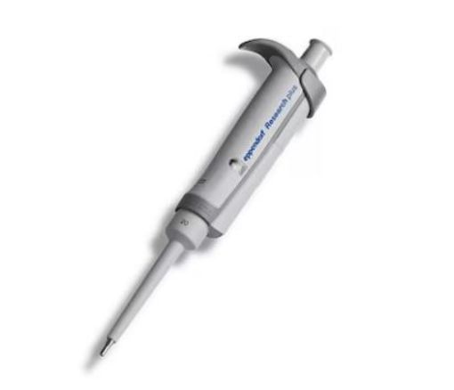 Picture of Eppendorf Research® plus single-channel, fixed, 20 µL, light gray (previously 3121000031)