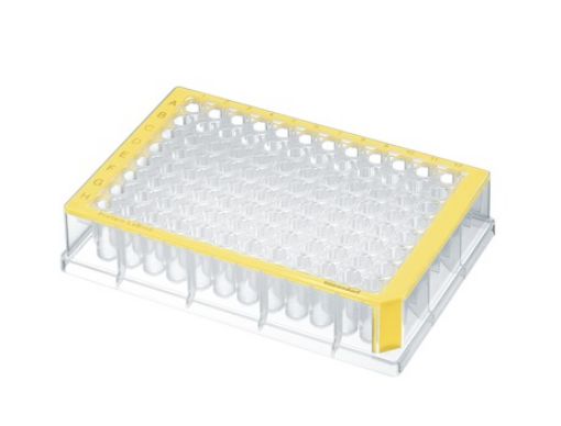 Picture of Deepwell Plate 96/500 µL, wells clear, 500 µL, PCR clean, blue, 40 plates (5 bags × 8 plates)