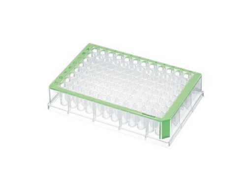 Picture of Deepwell Plate 96/500 µL, wells clear, 500 µL, PCR clean, green, 40 plates (5 bags × 8 plates)