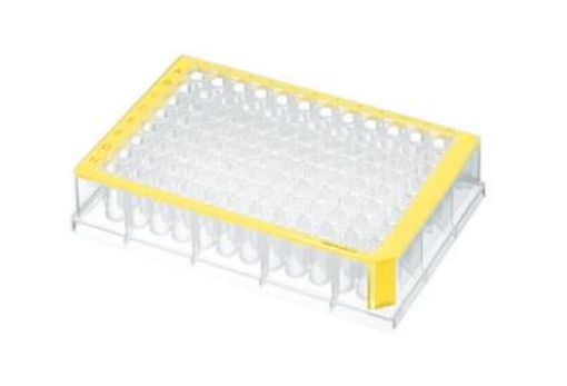 Picture of Deepwell Plate 96/500 µL, wells clear, 500 µL, PCR clean, yellow, 40 plates (5 bags × 8 plates)