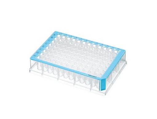 Picture of Deepwell Plate 96/500 µL, wells clear, 500 µL, sterile, blue, 40 plates (5 bags × 8 plates)