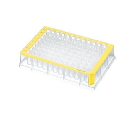 Picture of Deepwell Plate 96/500 µL, wells clear, 500 µL, sterile, yellow, 40 plates (5 bags × 8 plates)