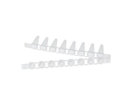 Picture of Eppendorf PCR Tube Strips, 0.1 mL, PCR clean, with Cap Strips, domed (10 × 12 strips