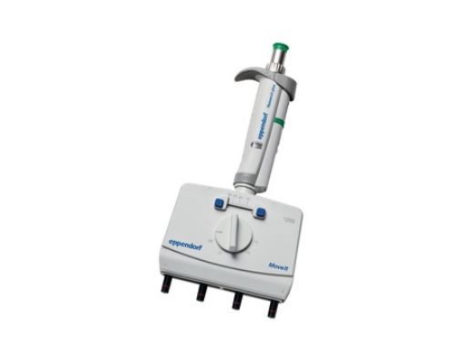 Picture of Eppendorf Research® plus Move It®, 4-channel, 9 mm cone distance, variable, 120 – 1,200 µL, dark green