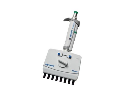 Picture of Eppendorf Research® plus Move It®, 8-channel, 9 mm cone distance, variable, 120 – 1,200 µL, dark green