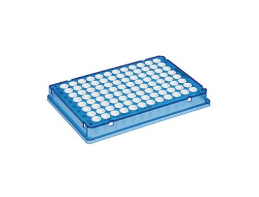 Picture of Eppendorf twin.tec® 96 real-time PCR Plate, skirted, 150 µL, PCR clean, blue, wells white, 25 plates