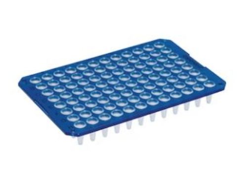 Picture of Eppendorf twin.tec® PCR Plate 96, low profile, unskirted, 150 µL, PCR clean, blue, 20 plates