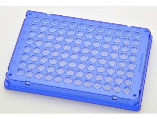 Picture of Eppendorf twin.tec® PCR Plate 96, skirted, 150 µL, PCR clean, blue, 300 plates