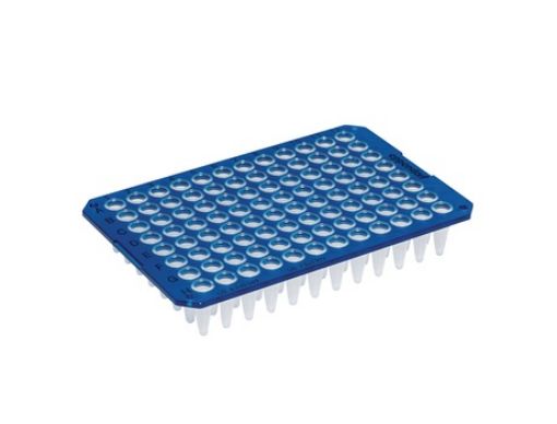 Picture of Eppendorf twin.tec® PCR Plate 96, unskirted, 250 µL, PCR clean, blue, 20 plates