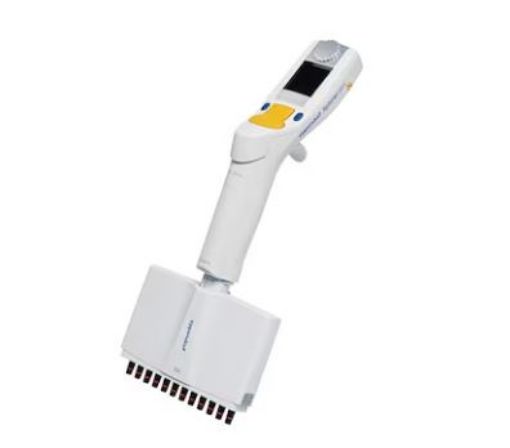 Picture of Eppendorf Xplorer® plus, 12-channel, variable, 15 – 300 µL, orange