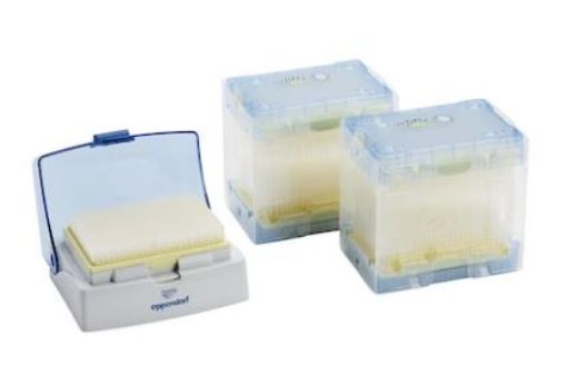 Picture of epT.I.P.S.® 384 Set, Eppendorf Quality™, 0.1 – 20 µL, 42 mm, light pink, colorless tips, 1,920 tips (5 trays × 384 tips), 1 reusable box