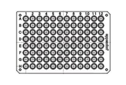 Picture of Eppendorf twin.tec® PCR Plate 384 LoBind, skirted, PCR clean, barcoded, 25 pcs.