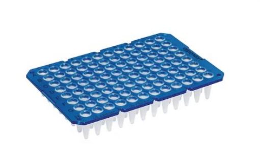 Picture of Eppendorf twin.tec® PCR Plate 96, divisible, unskirted, divisible, 250 µL, PCR clean, blue, 20 plates