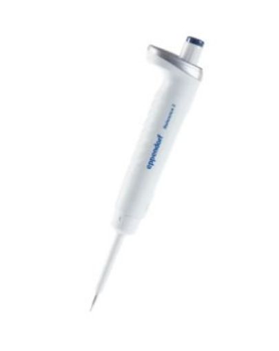 Picture of Eppendorf Reference® 2, 1-channel, fixed, 1 µL, dark gray