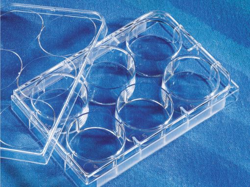 Picture of Costar® 6-well Clear TC-treated Multiple Well Plates, Individually Wrapped, Sterile, pk 50