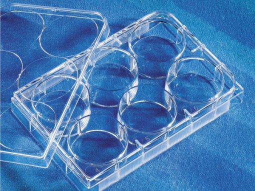 Picture of Costar® 6-well Clear TC-treated Multiple Well Plates, Bulk Packed, Sterile, 5pk, case 100
