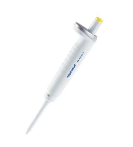 Picture of Eppendorf Reference® 2, 1-channel, fixed, 200µL, yellow