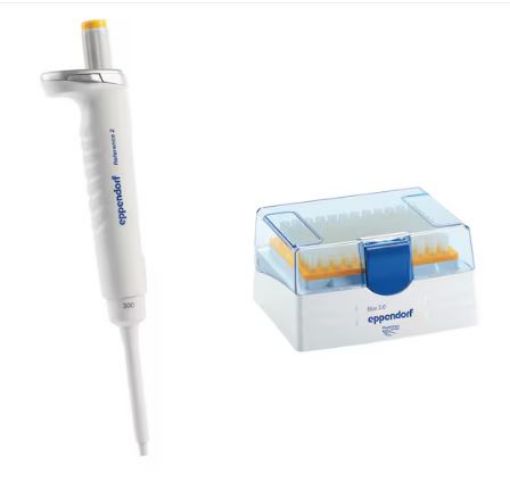 Picture of Eppendorf Reference 2, 1-channel,  30-300µL variable, incl. epTIPS Box 2.0, orange