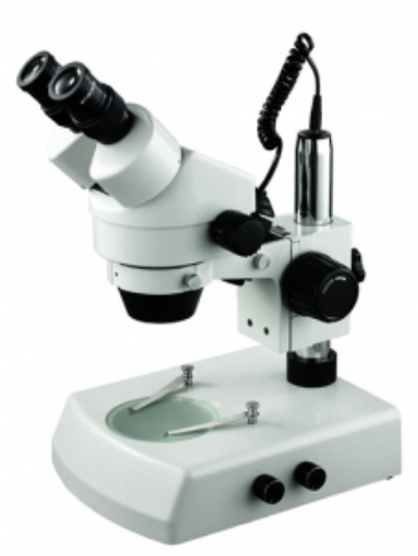 Picture of Zoom Stereo Microscope Binocular with Illumination