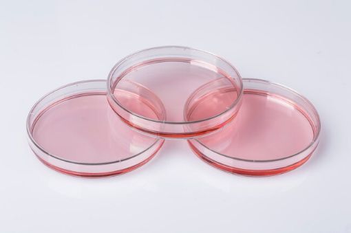 Picture of Petri Dish, 90mm x 20mm deep, PS Vented, box/200