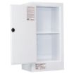 Picture of Corrosive Storage Cabinet 80L, Polypropylene, 1 door, 2 shelves