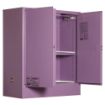 Picture of 160L Corrosive Substance Storage Cabinet, 2 door, 2 shelves