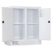 Picture of Corrosive storage Cabinet 160L, Polypropylene, 2 door, 4 shelves