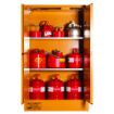 Picture of Cabinet Flammables 250L 2 door, 3 shelves