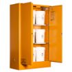 Picture of Toxic Substance Cabinet 250L