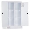 Picture of 250L Corrosive Cabinet, Polypropylene, 2 door, segragated, 6 shelves